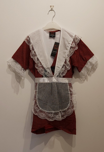 Traditional Welsh Costume (Children)