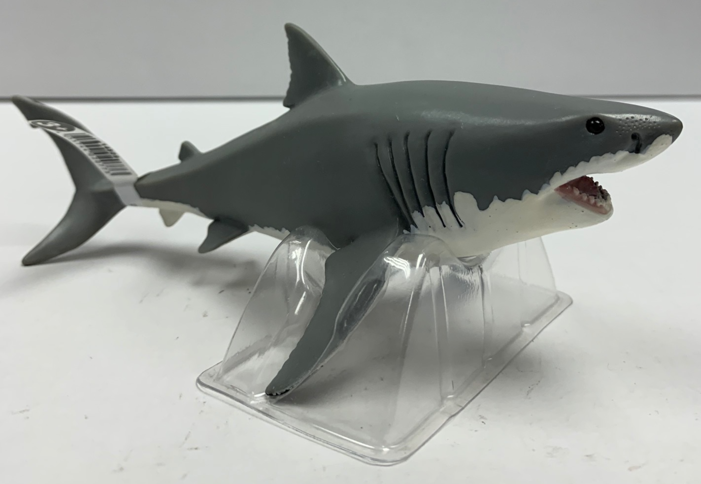 14809 GREAT WHITE SHARK