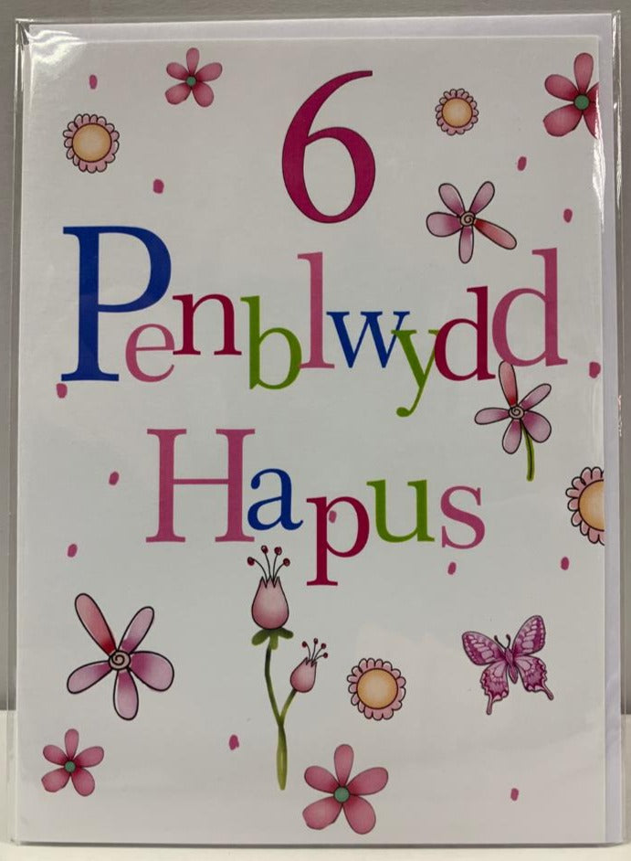 Penblwydd Hapus 6