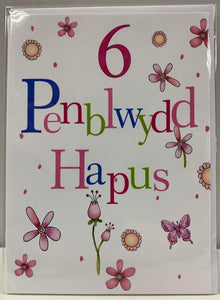 Penblwydd Hapus 6