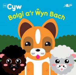 Cyfres Cyw: Bolgi a'r Ŵyn Bach