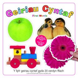 Geiriau Cyntaf/First Words