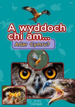 Cyfres a Wyddoch chi: A Wyddoch Chi am Adar Cymru?