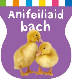 Cyfres Ysgwyd, Cnoi a Dysgu: Anifeiliaid Bach