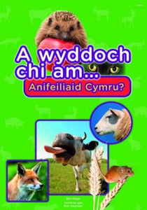 Cyfres a Wyddoch Chi: A Wyddoch Chi am Anifeiliaid Cymru?