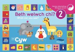 Beth Welwch Chi? / What Can You See? 2