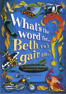 What's the Word For...?/Beth Yw'r Gair Am...? - An Illustrated Dictionary/Geiriadur â Lluniau
