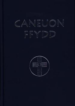 Caneuon Ffydd - Geiriau'n Unig (Words Only)