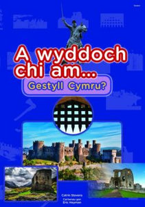 Cyfres a Wyddoch chi: A Wyddoch Chi am Gestyll Cymru?