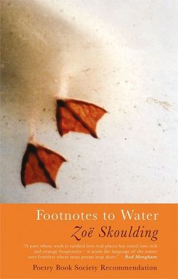 Footnotes to Water
