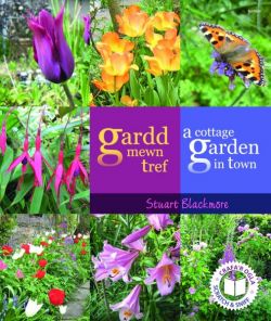 Gardd Mewn Tref | A Cottage Garden in Town