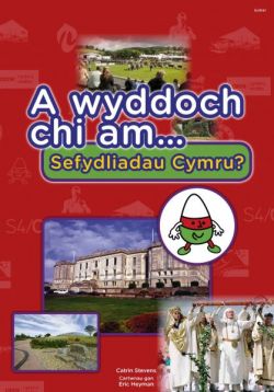 Cyfres a Wyddoch Chi: A Wyddoch Chi am Sefydliadau Cymru?