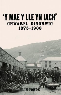 'Y Mae y Lle yn Iach' - Chwarel Dinorwig 1875-1900